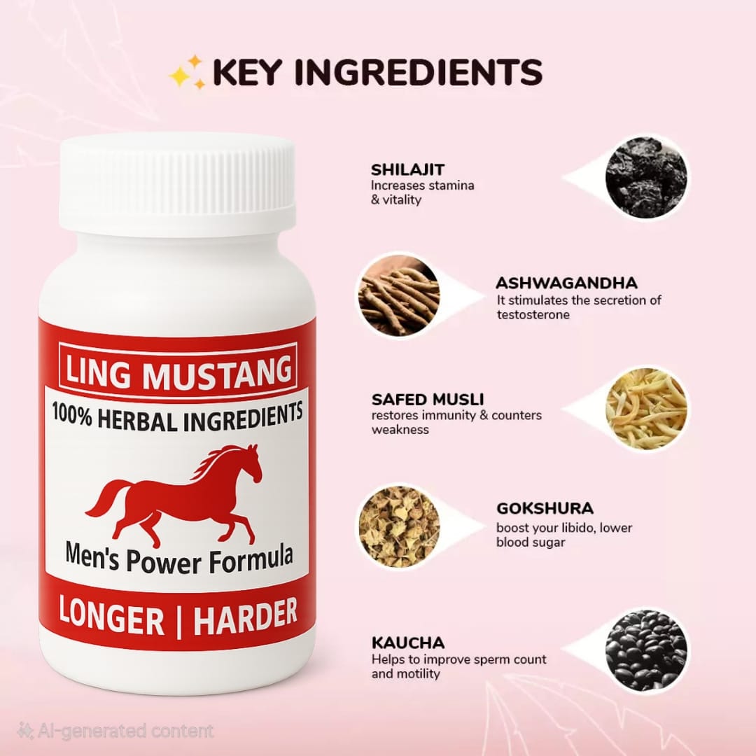 WhatsApp Image 2025-09-10 at 22.46.46